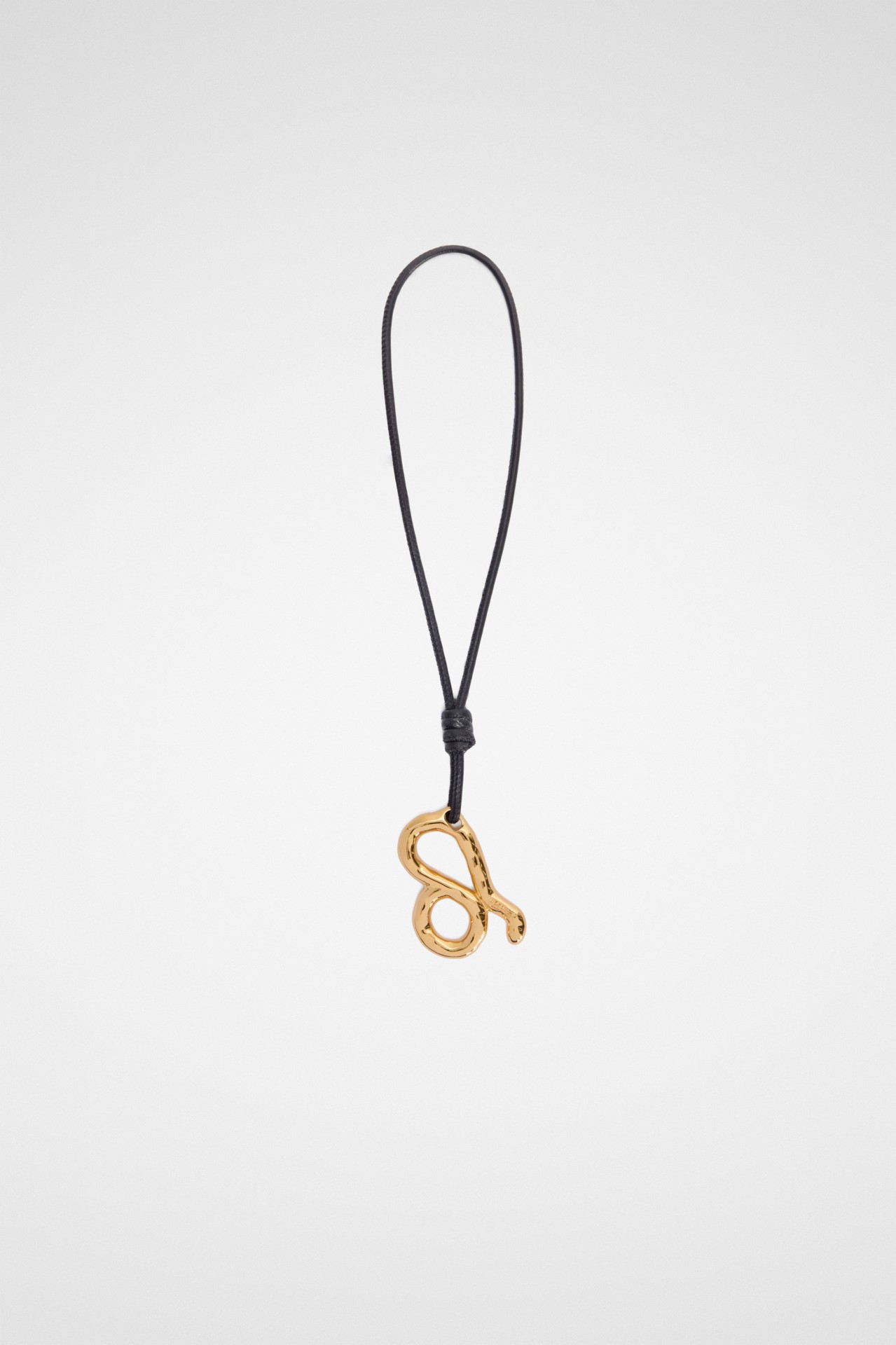 CHARM ZODIAC LEO