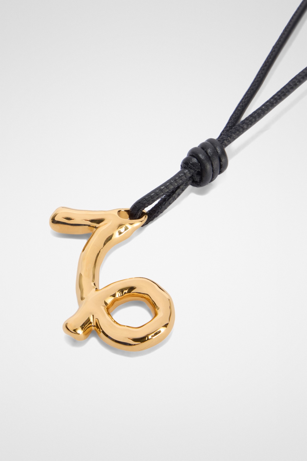 CHARM ZODIAC CAPRICORN