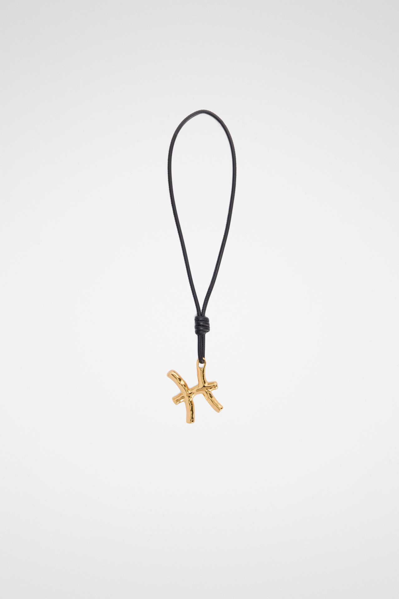 CHARM ZODIAC PISCES
