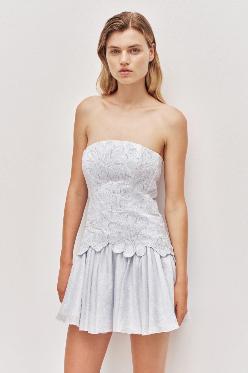 GIA EMBROIDERED MINI DRESS
