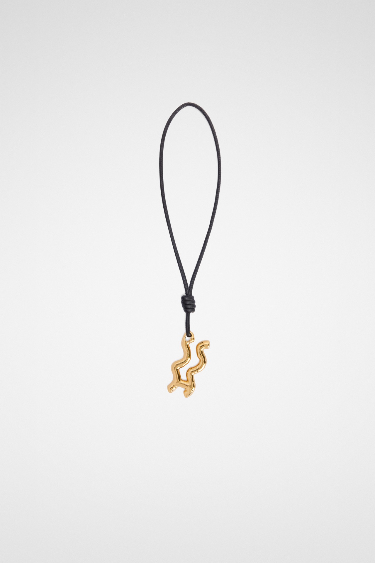 CHARM ZODIAC AQUARIUS