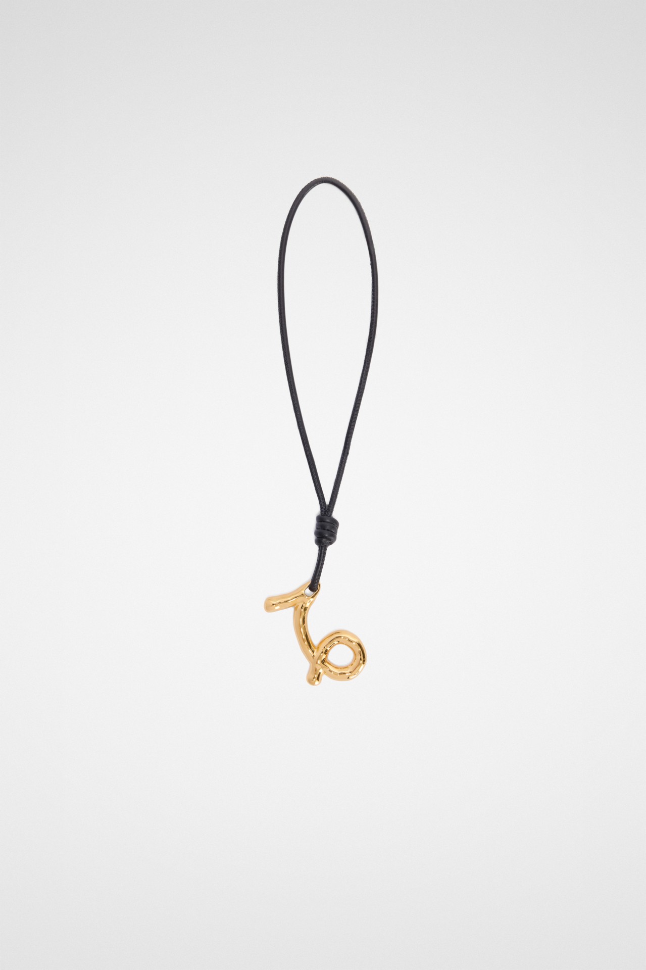 CHARM ZODIAC CAPRICORN