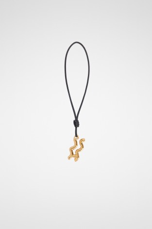 CHARM ZODIAC AQUARIUS