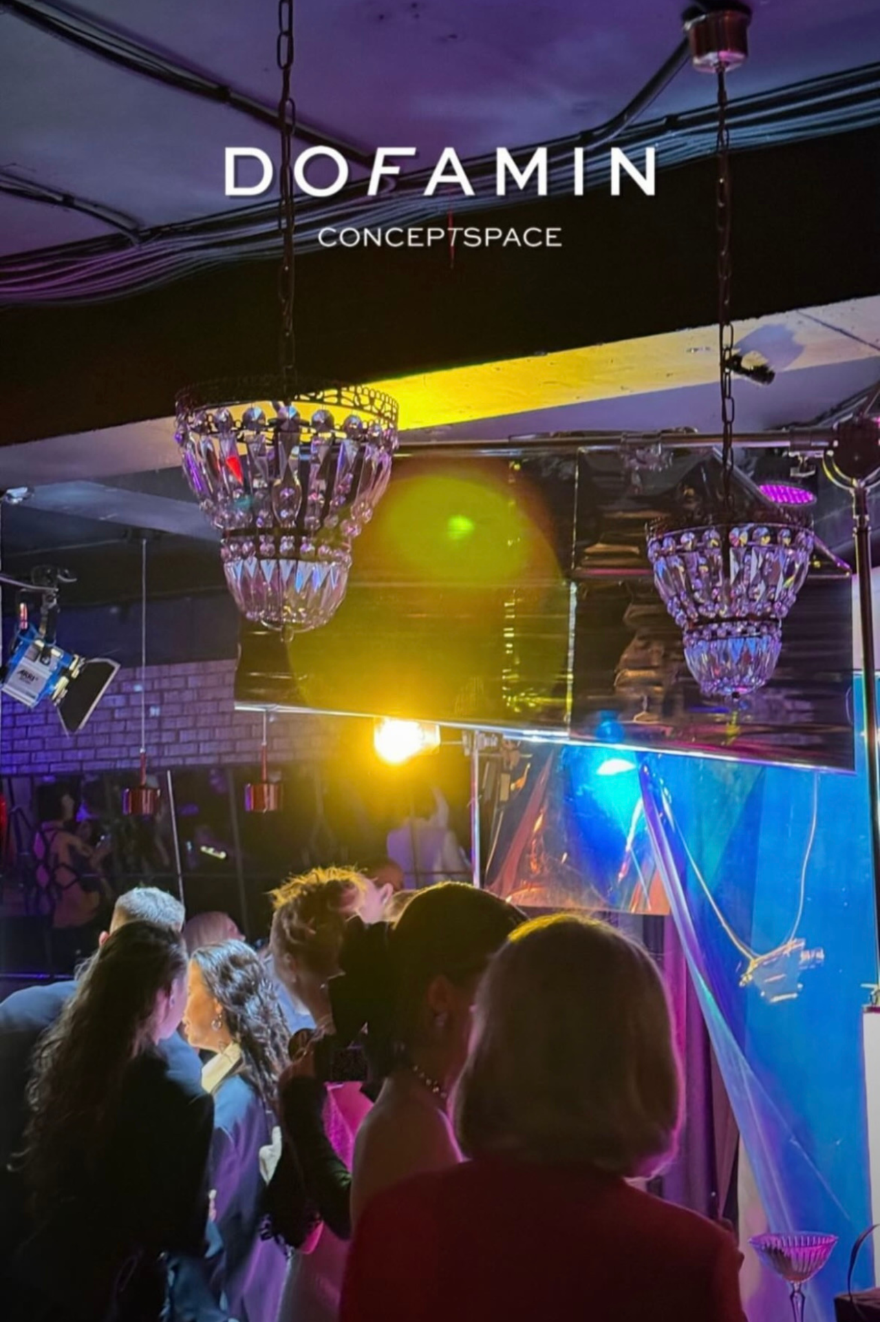 DOFAMIN — 1 Year of Cultivating Joy