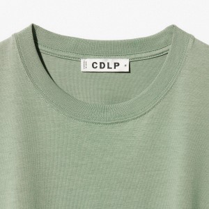 MIDWEIGHT T-SHIRT SAGE