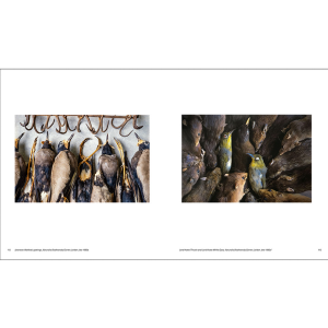 WILKINS\ROSAMOND PURCELL