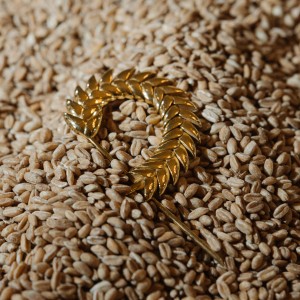 SPIKELET LARGE BROOCH IN GOLD