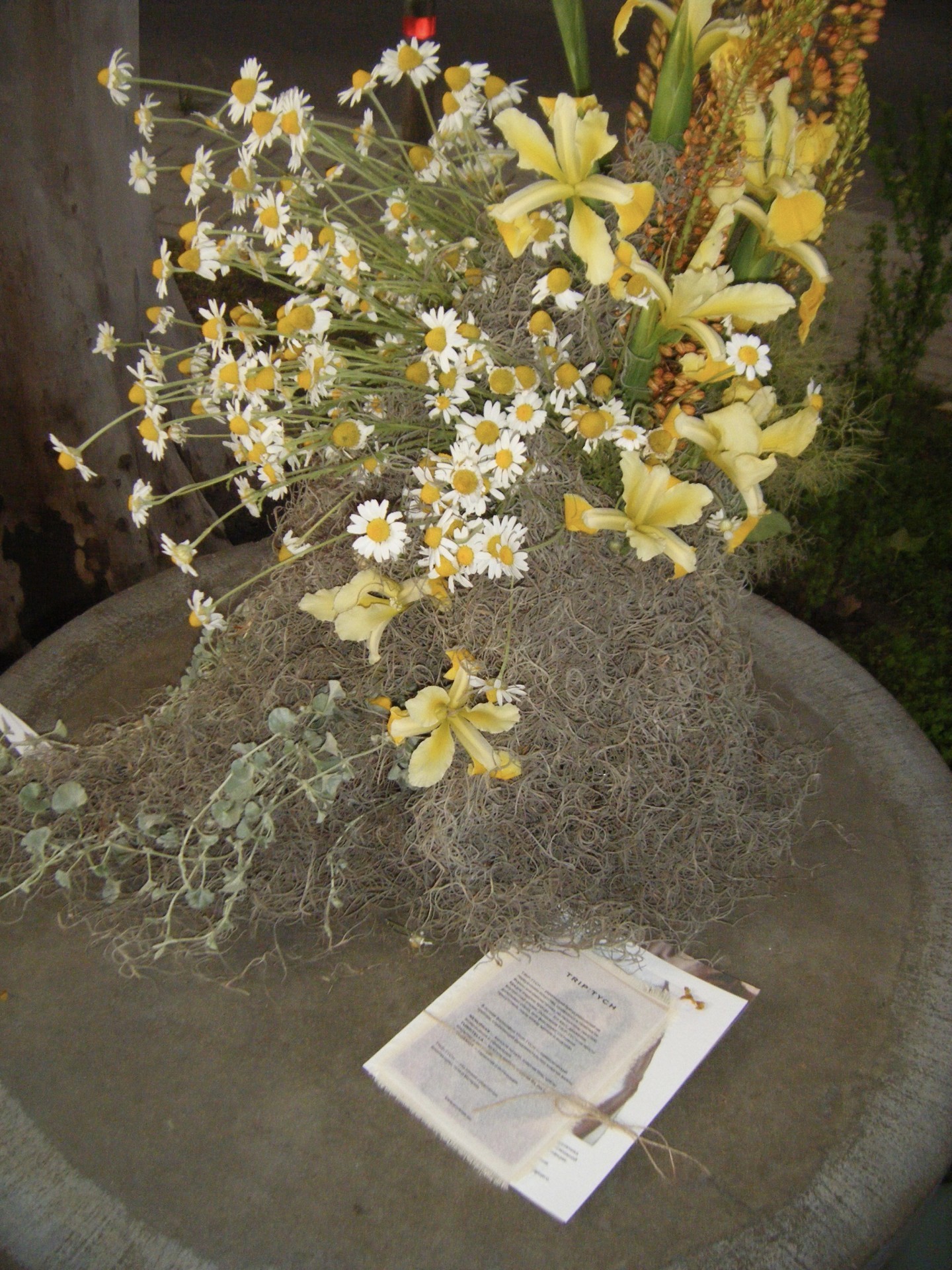 TRUNK SHOW — TRIP:TYCH, MAD ET LEN & NEANDERTAL